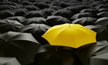 Building a Membership Website with WordPress